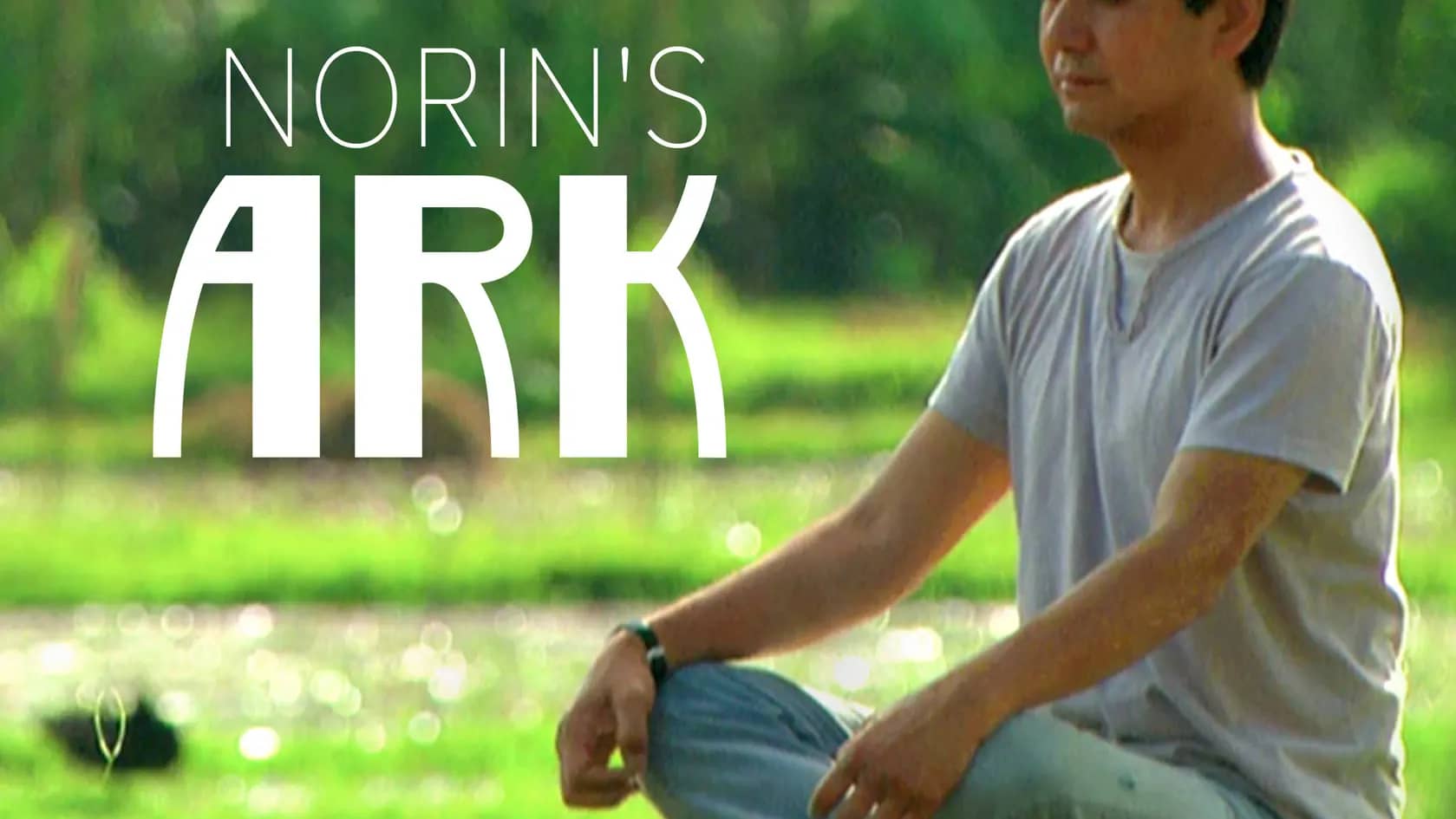 norin ark
