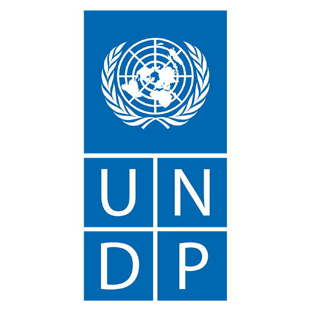 undp