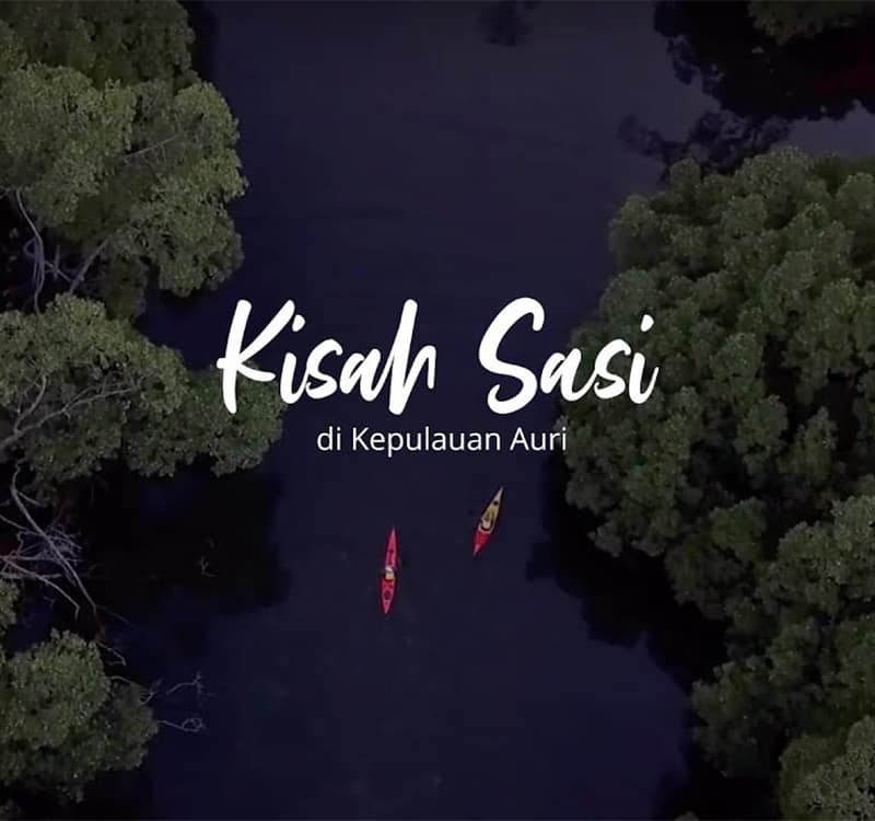 Kisah Sasi di Kepulauan Auri