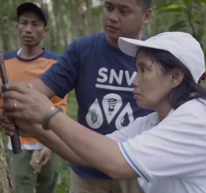 Sustainable Green Rubber