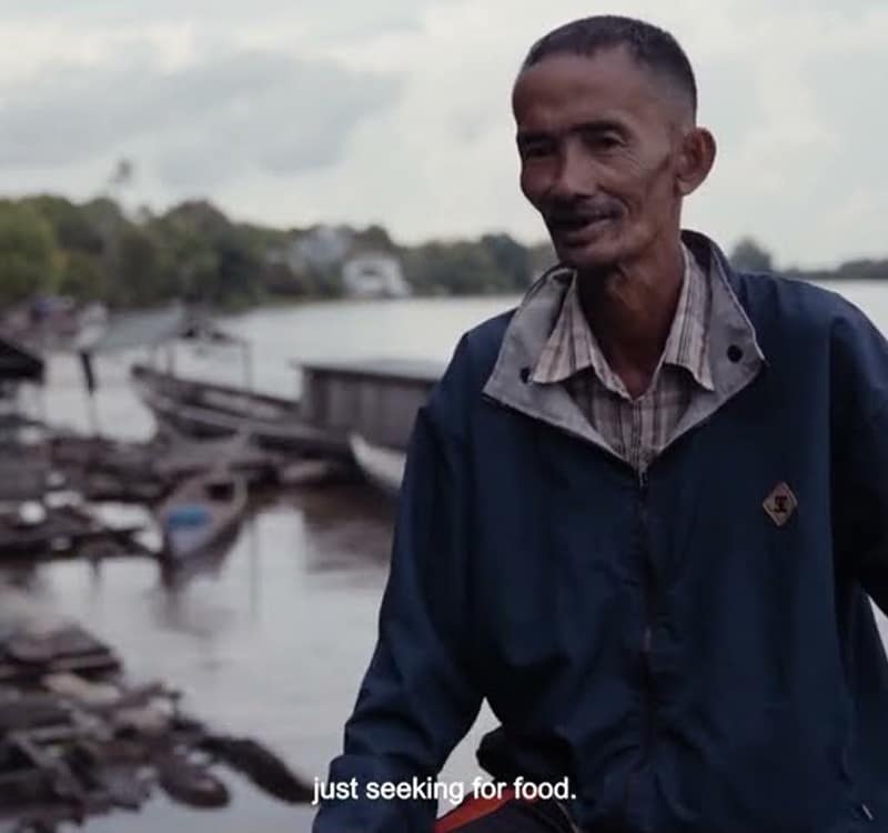 Restorasi Hutan